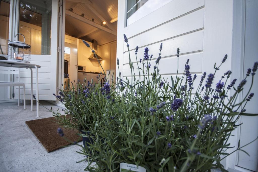 Madame Jeanette room 3